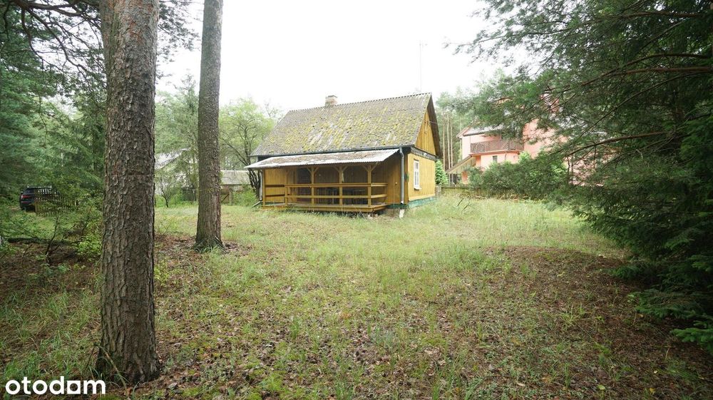 Zielona enklawa w otulinie lasów