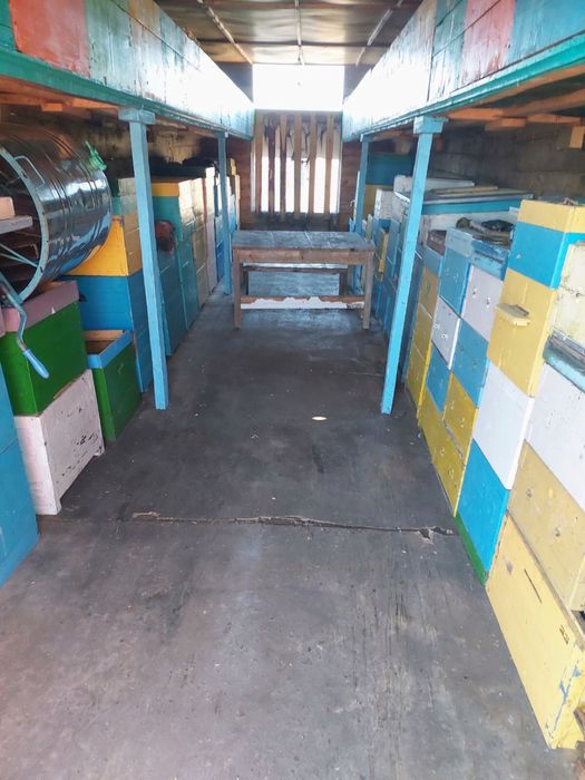 Продам пасіку кочеву