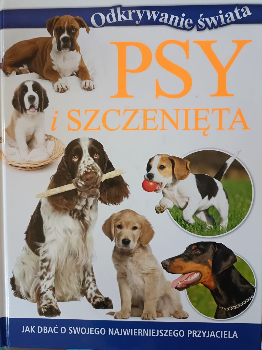 Książki o zwierzętach konie ssaki psy gady, zwierzęta hodowlane