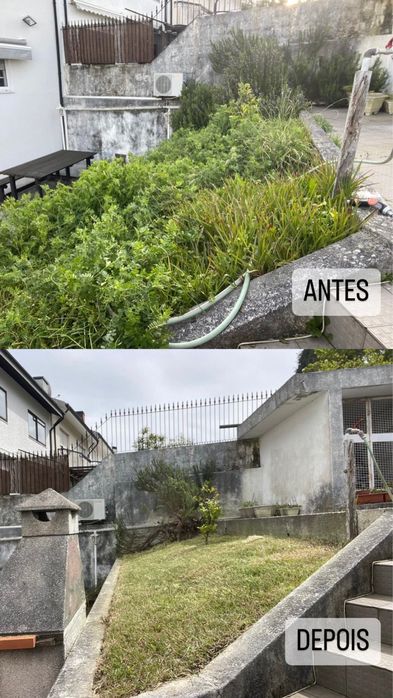 Limpeza de terrenos e manutenção de jardins