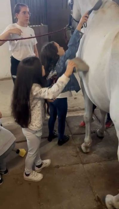 Festa de Aniversário com cavalos