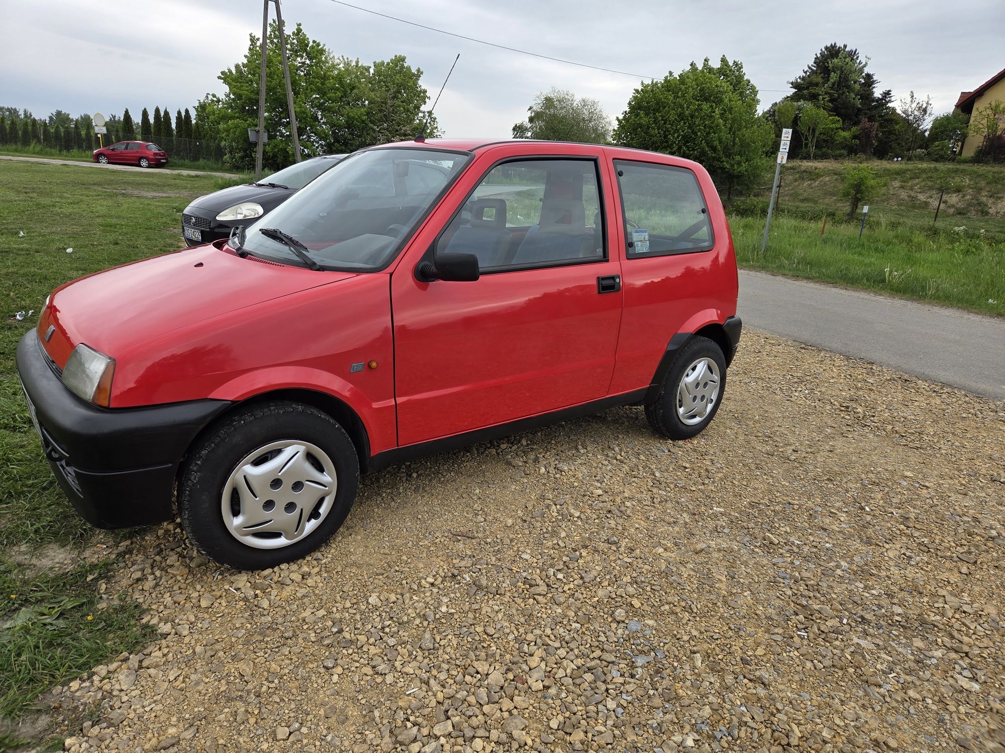 Cinquecento stab bdb. Igła