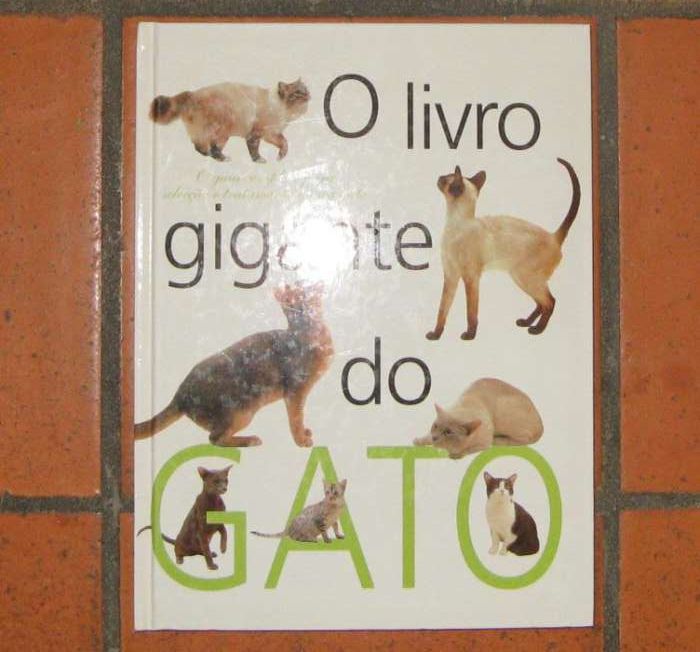 O Livro Gigante do Gato