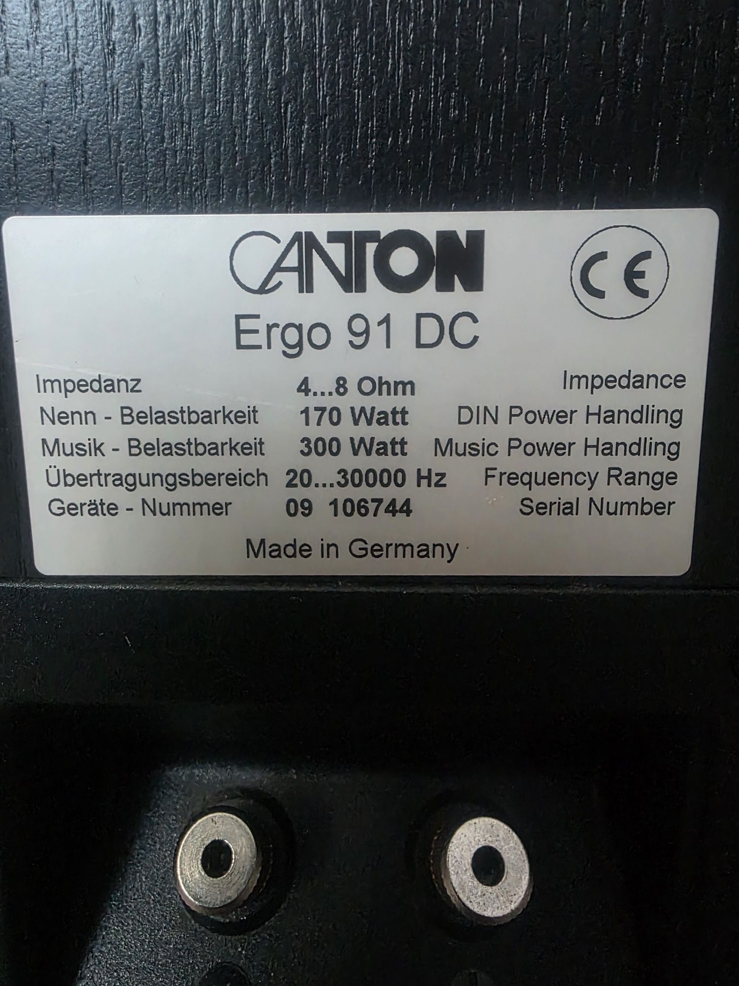 Kolumny Canton Ergo 91 DC