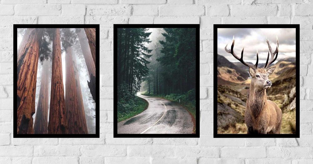 30x40 obrazy w ramie plakaty ramka JELEŃ LAS NOWOCZESNY NATURA BOHO