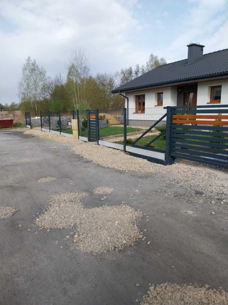 Panel ogrodzeniowy 183cm 2d drut 8/6/8mm ocynk malowany