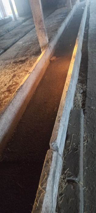 Панелі для теплотрас,плити,годівниці ВРХ