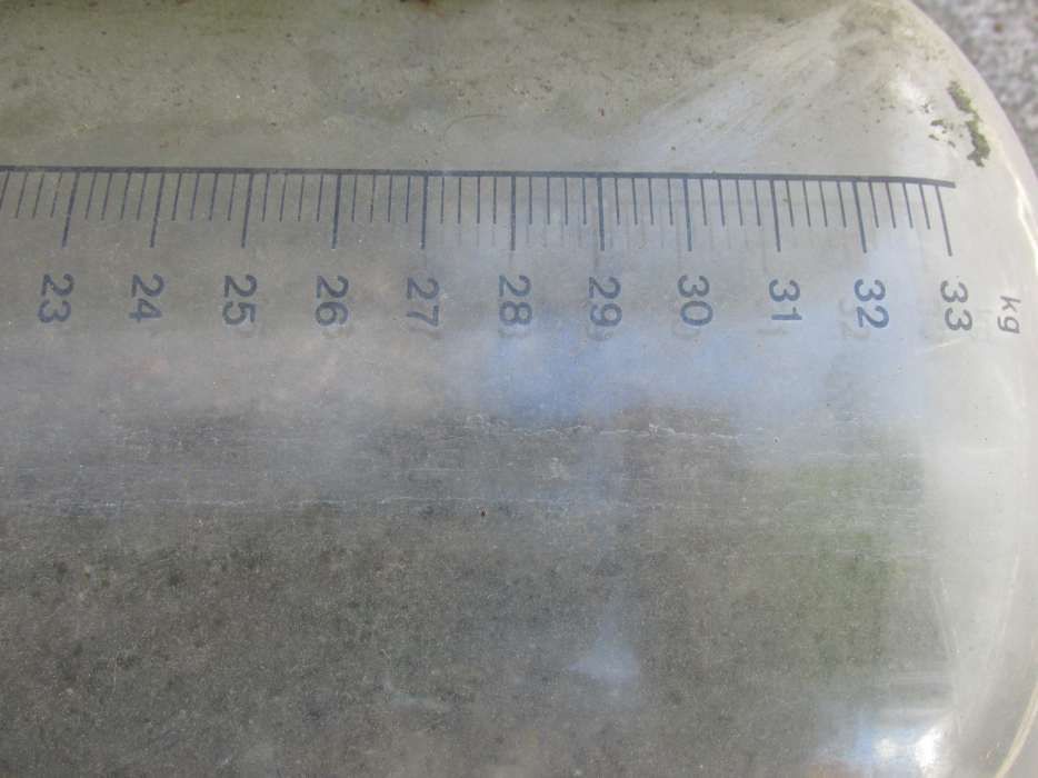 ordenha - recipientes(vasos) e maquinaria