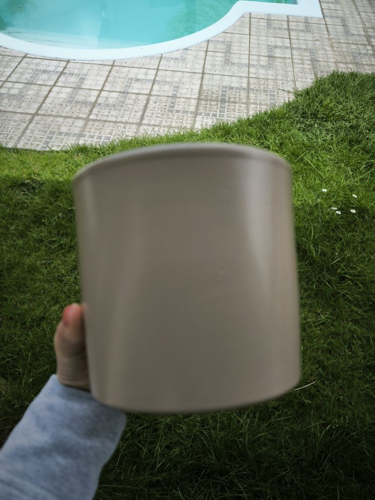 Vasos de plantas variados