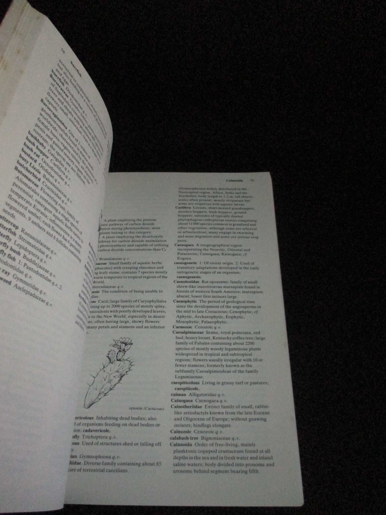 Livro The Cambridge Illustrated Dictionary of Natural History