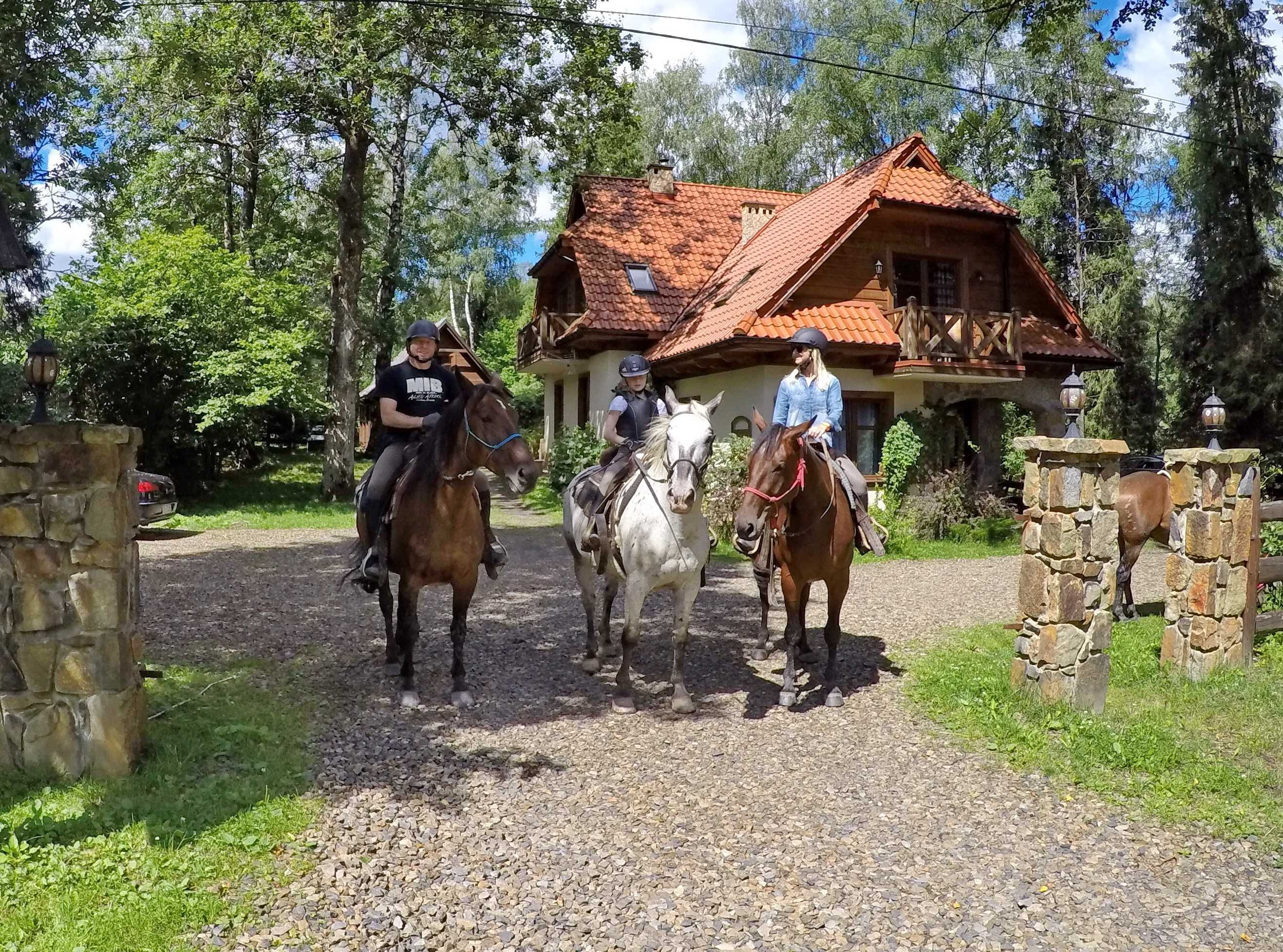 Dom w Bieszczadach Villejka, noclegi, pokoje ze śniadaniem,  k/Wetlina