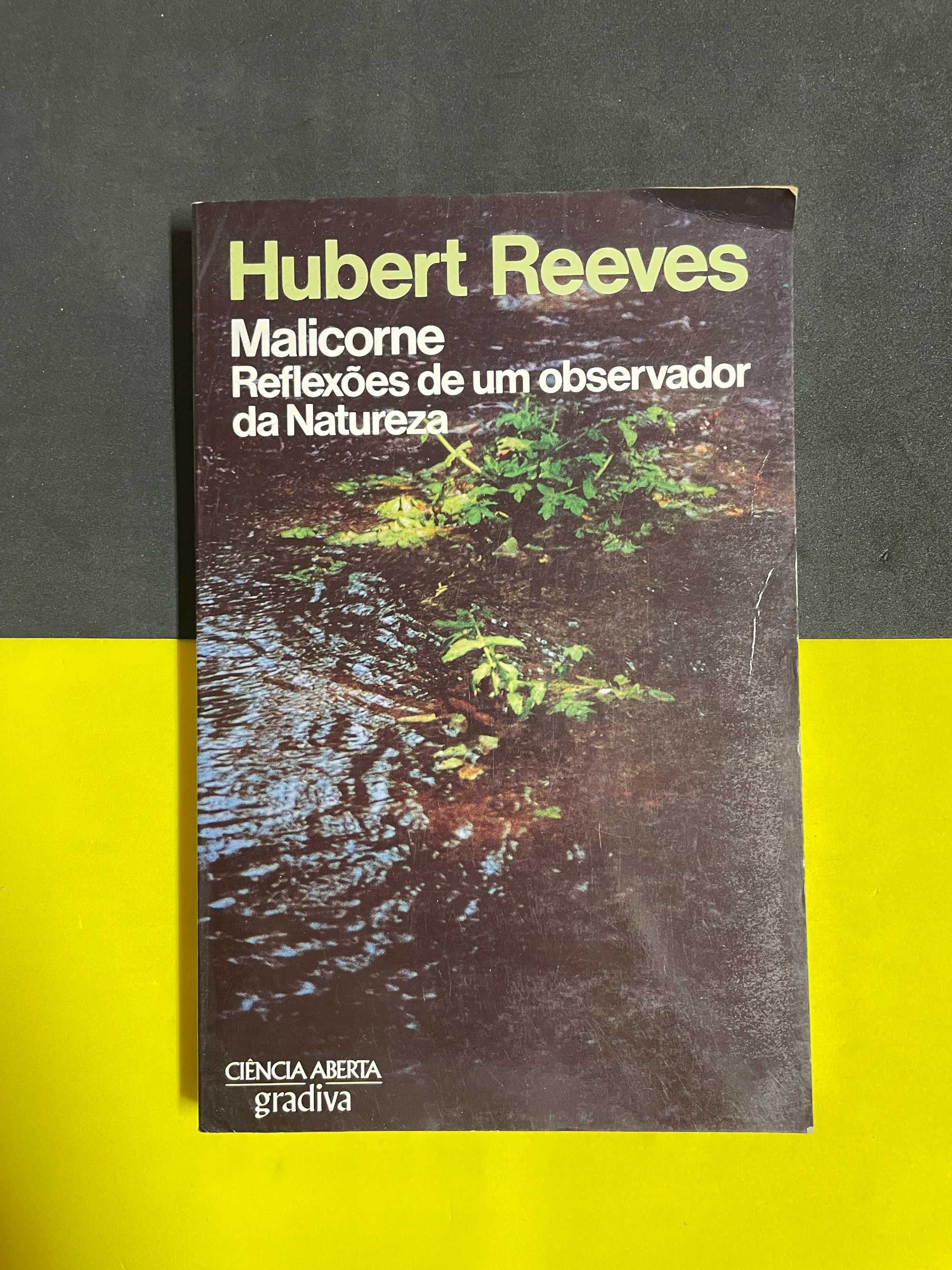 Hubert Reeves - Malicorne