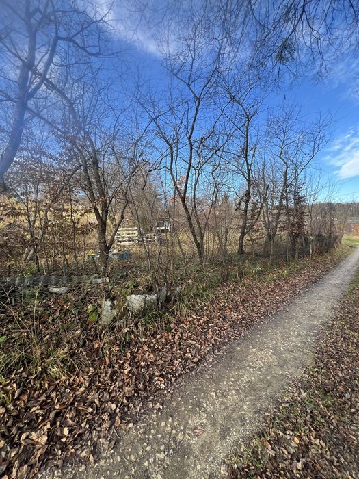 Продаж земельної ділянки 4.36 сот. в с. Липники ціна 9999$.