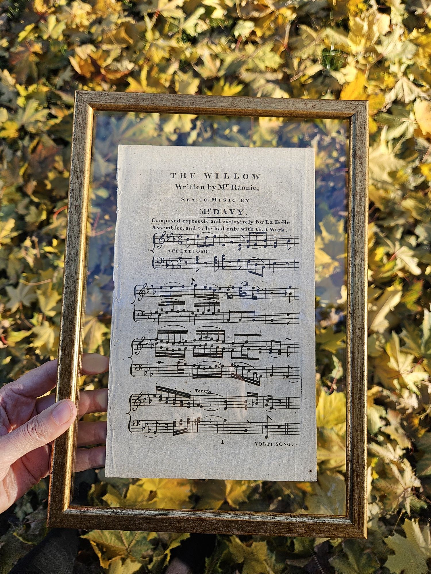 Картина Вінтажні ноти 1814 року
