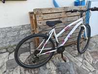Bicicleta senhora roda 26