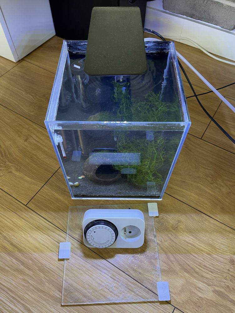 Akwarium / krewetkarium 10L AquaEl