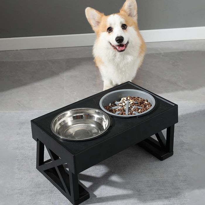 Podwyższane Miski dla Psa 2W1 ze Stali Nierdzewnej