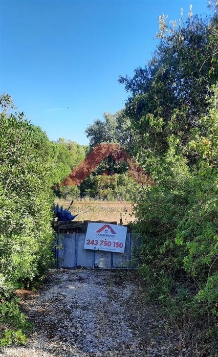 Terreno Rústico  Venda em Cartaxo e Vale da Pinta,Cartaxo