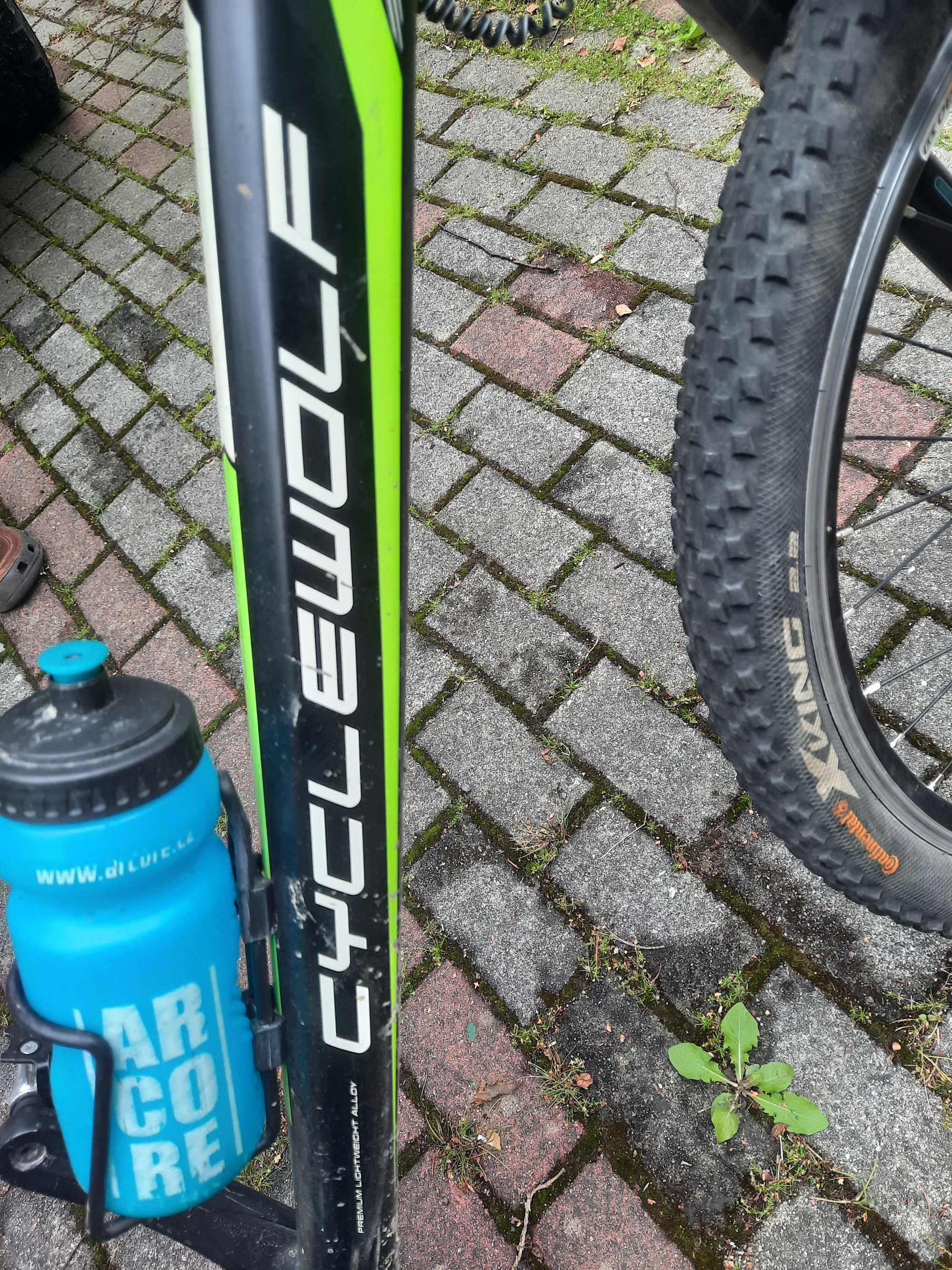 Rower MTB Cycle Wolf