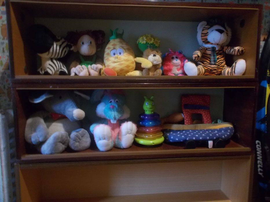 Полиці для книг та іншого.