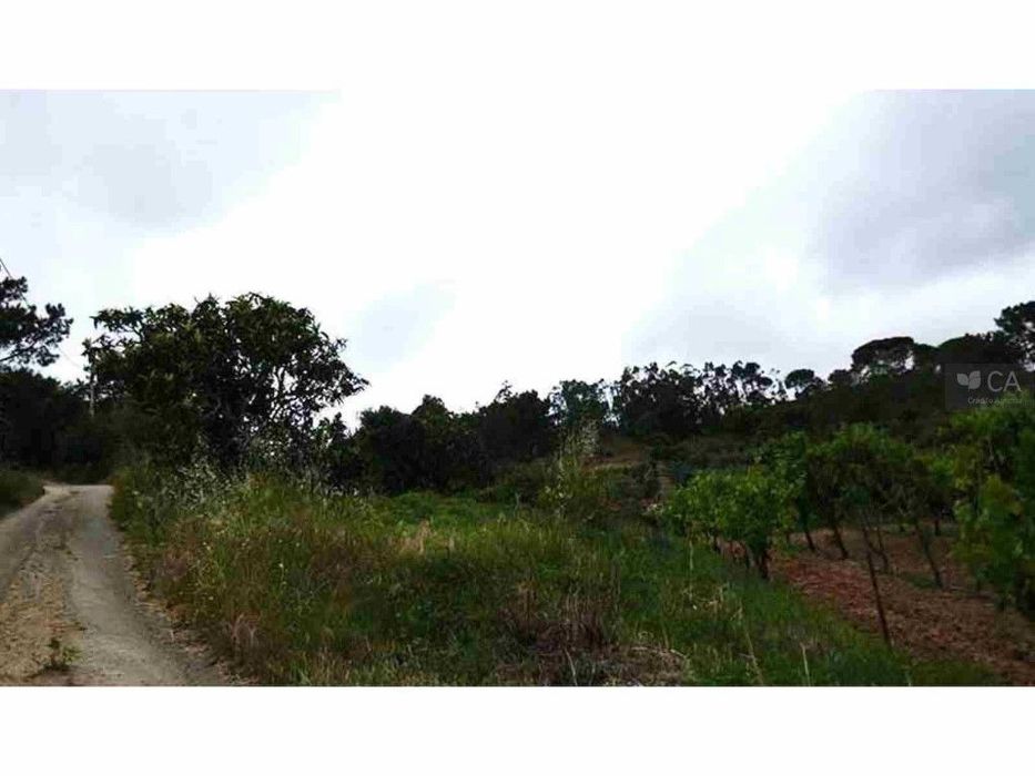 1/54 De Prédio Misto