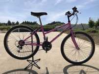 Bicicleta Ibéria roda 24