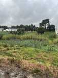 Terreno para venda perto de mafra