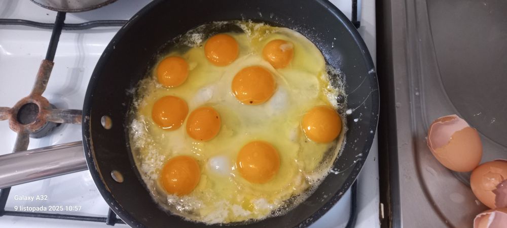 Jajka wiejskie z własnego gospodarstwa