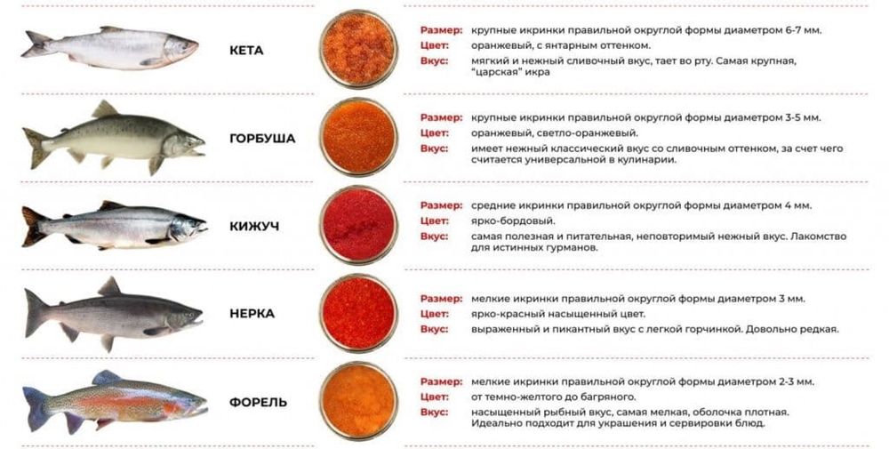 Икра имитированная красная Санта Бремор