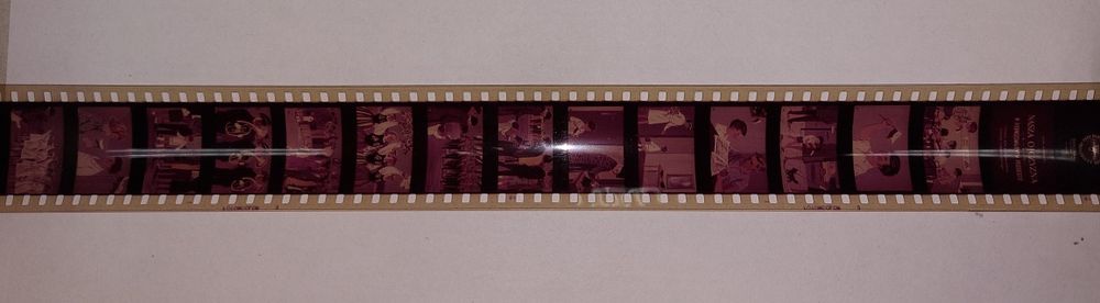 Bajka na przeźrocza. Nasza ojczyzna. W pierwszomajowym pochodzie