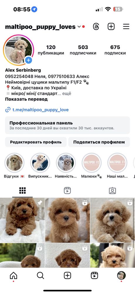 Мальтипу ф1 міні дівчинка карампль