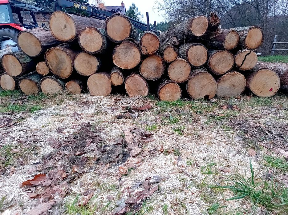 Sprzedam drewno kominkowe i opalowe