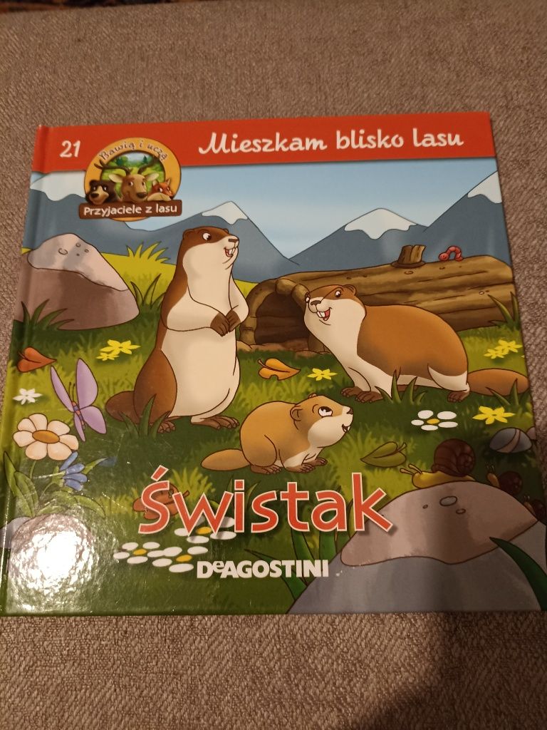 Książka dla dzieci: Mieszkam blisko lasu. Świstak