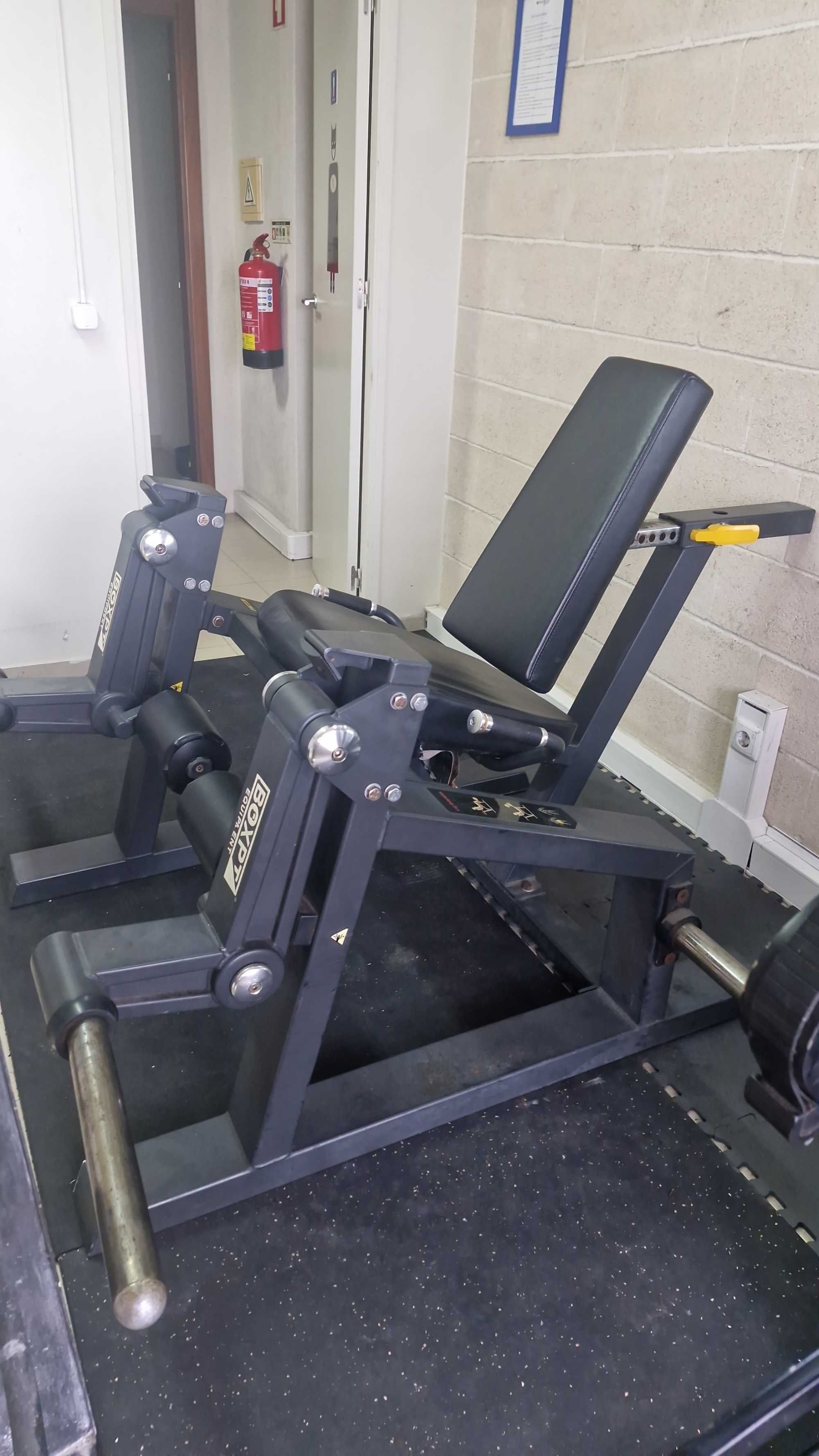 Leg extension profissional unilateral