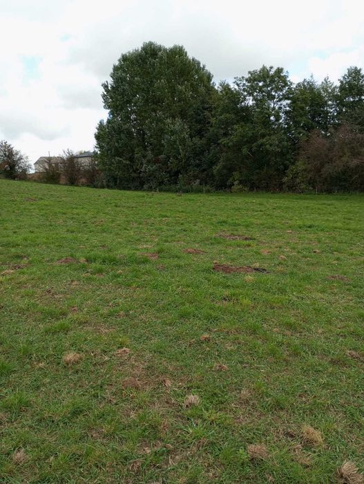 Działka z linią brzegową jeziora Długie 30ar