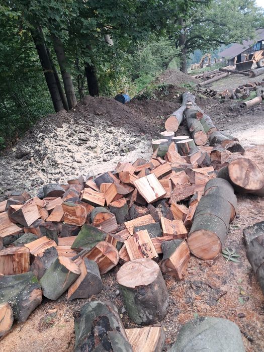 Buk opalowe do kominka