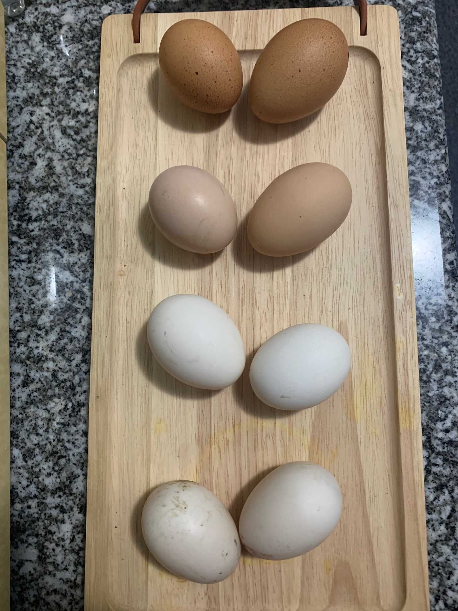 Ovos caseiros de galinha e pata