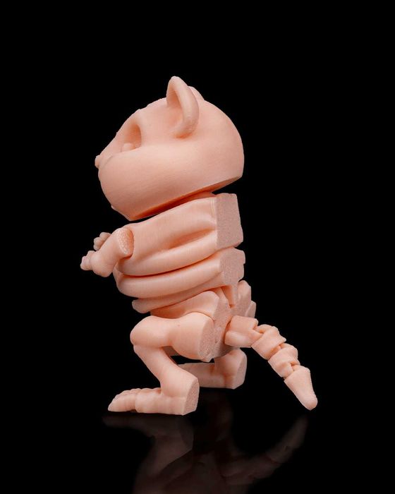 Szkielet Chomika Egzotyczna Dekoracja na Halloween z Mroczną Duszą!