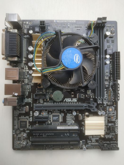 Материнська плата Asus H81M-V3