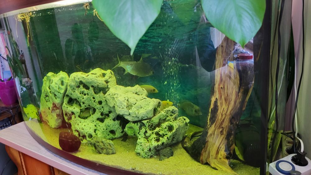 Панорамний акваріум 400 літрів. Самовивіз.