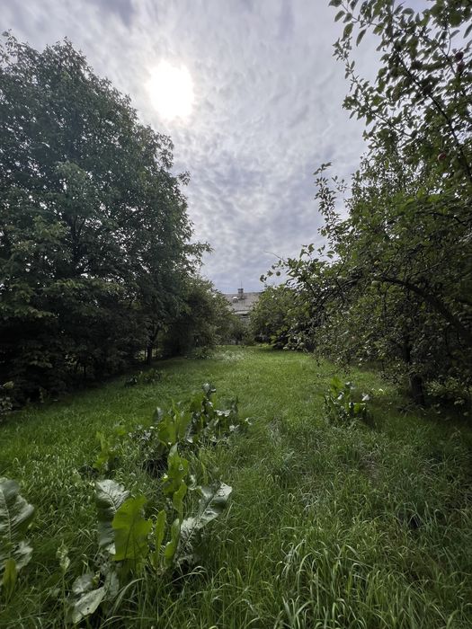 Будинок цегляний, газ, великий сад, гараж, господарські споруди