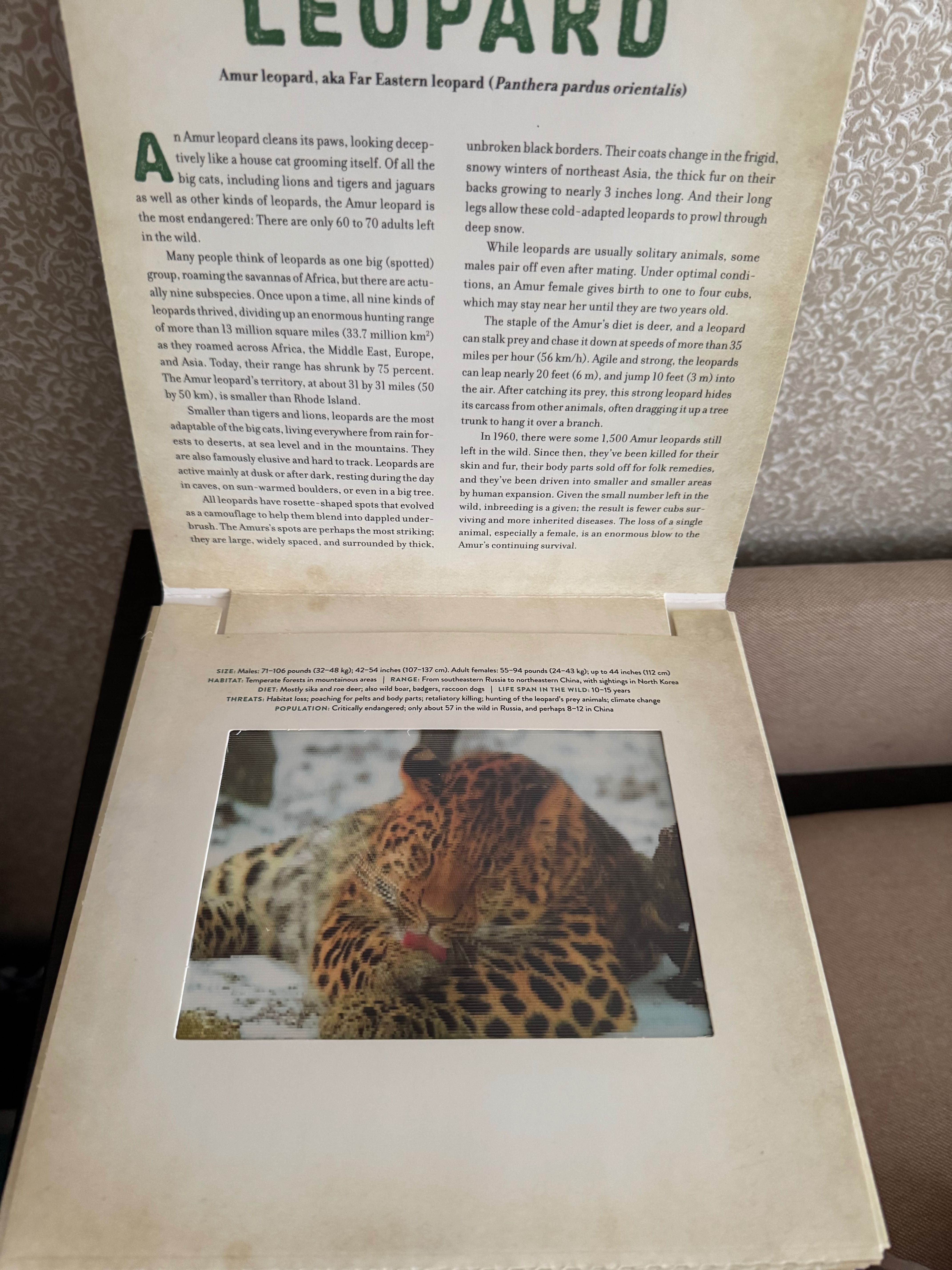 зникаючі тварини в живому русі
ДЕН КАЙНЕН, КЕТІ ВОЛЛАРД,дитяча книга