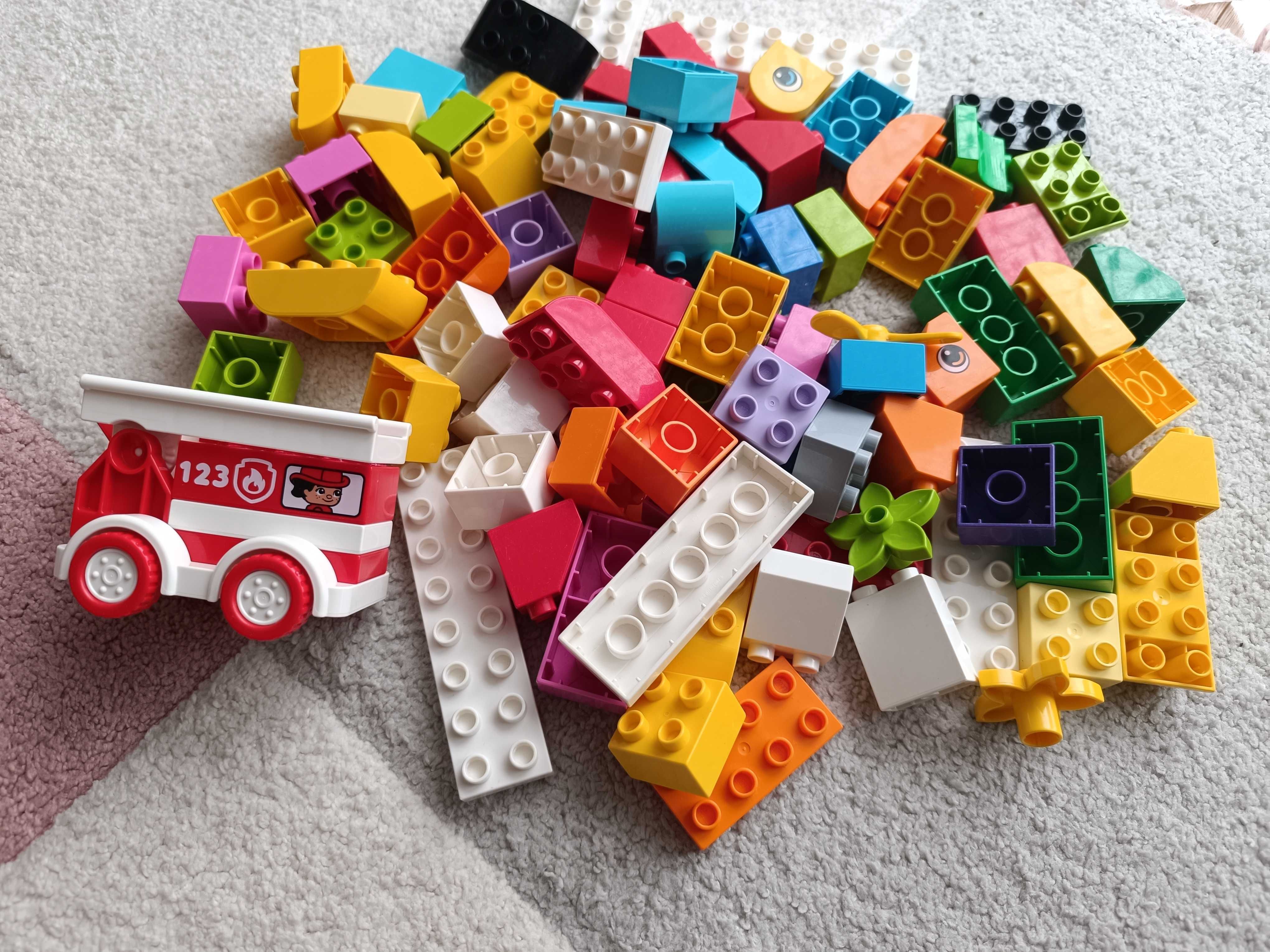 Moje pierwsze klocki Lego Duplo 10848