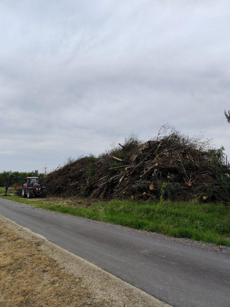 Wycinka Sadów Kompleksowe karczowanie samosiejek lasow zarośli