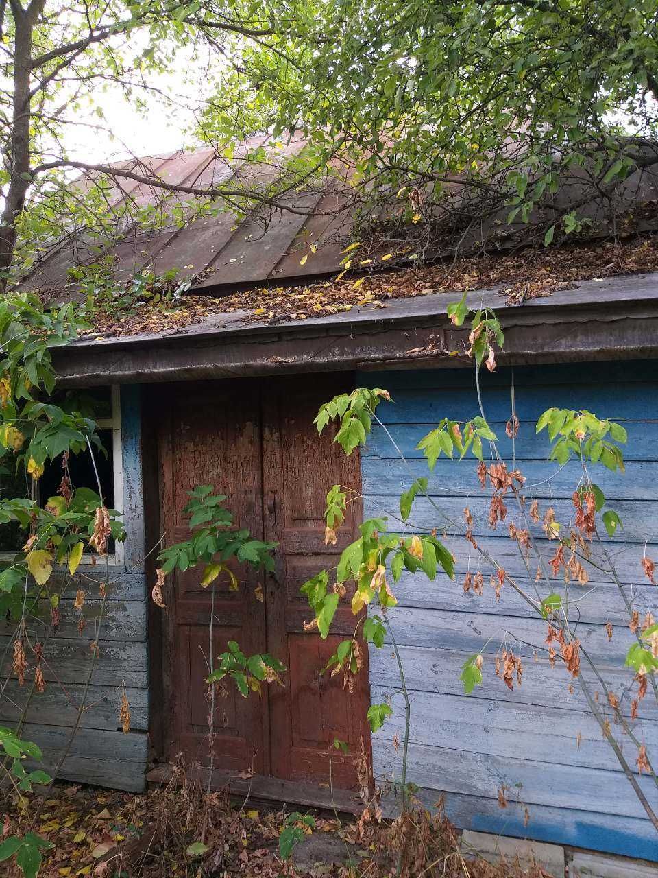 Будинок з ділянкою в с. Вельбівка Гадяцького р-ну Полтавської обл.