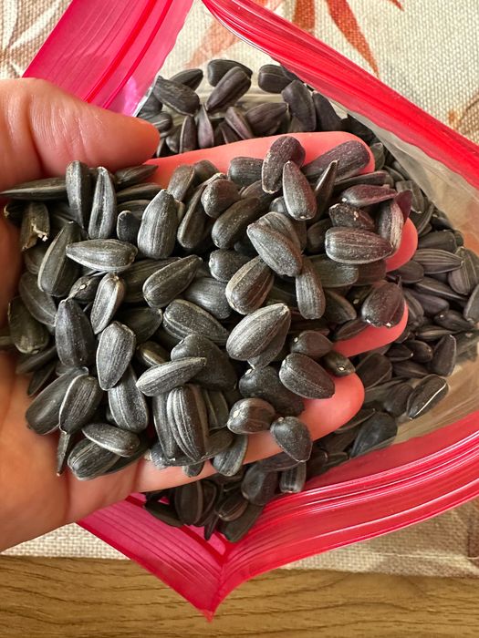 Насіння для смаження