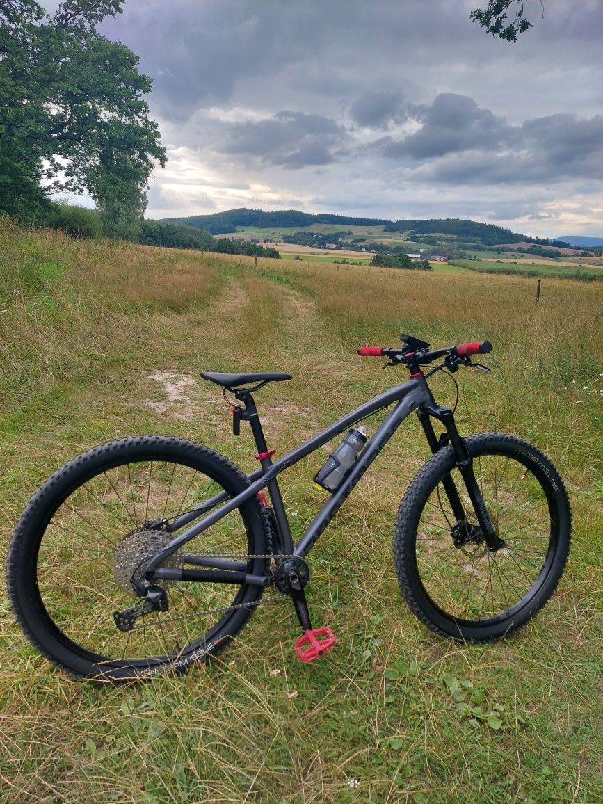 Dartmoor Primal 29 rozm. S