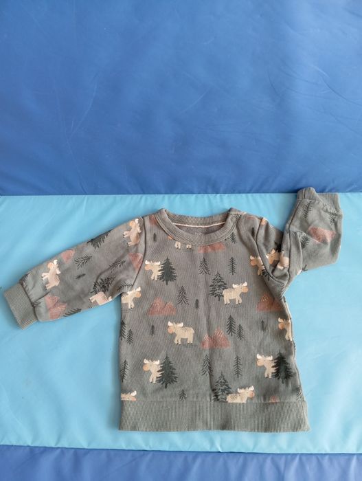 Bluza C&A baby 74/ 6-9 mies.