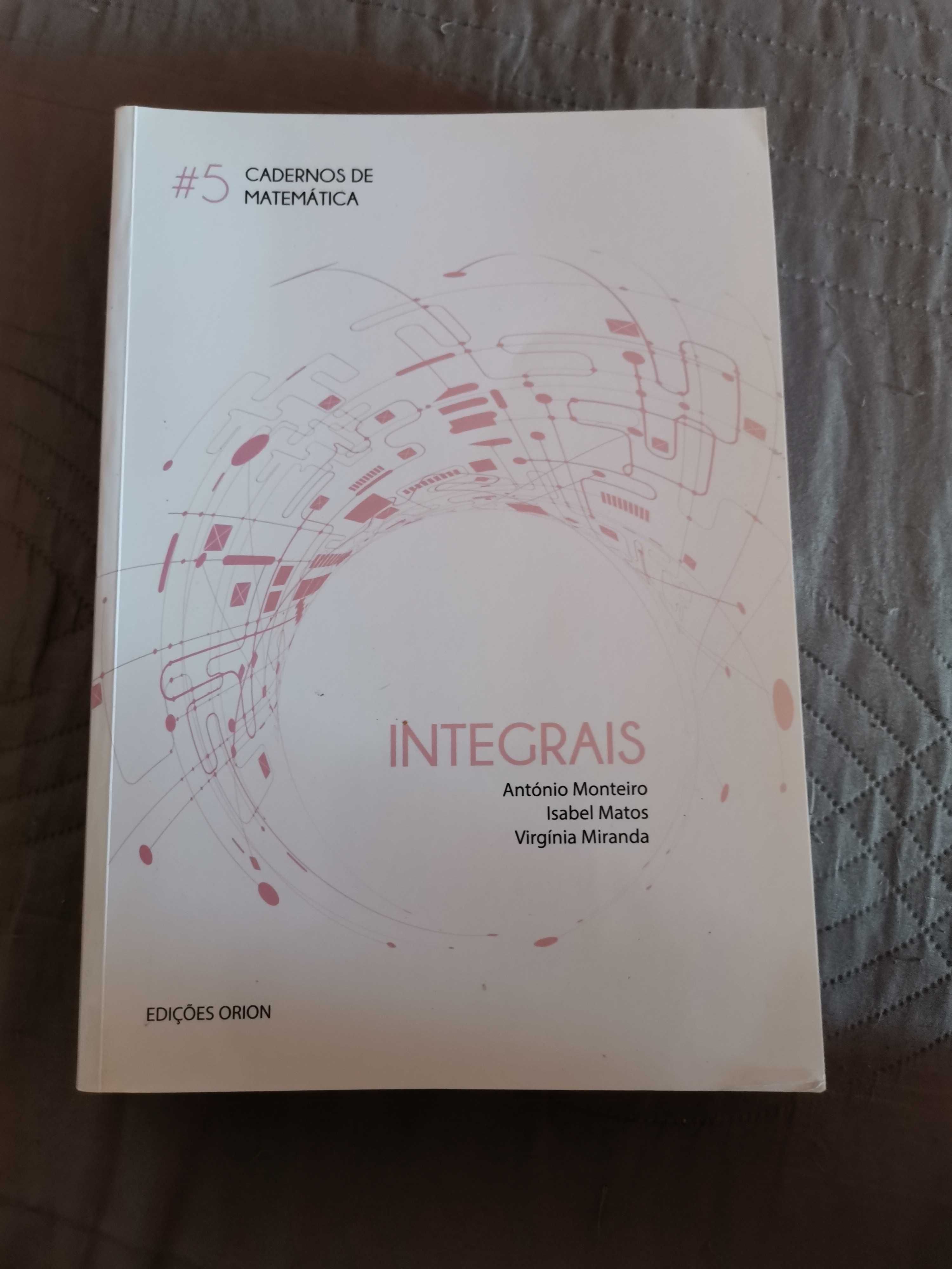 Cadernos matemática Integrais