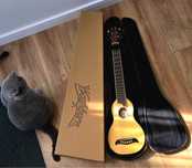 WASHBURN RO 10 N - GITARA podróżna